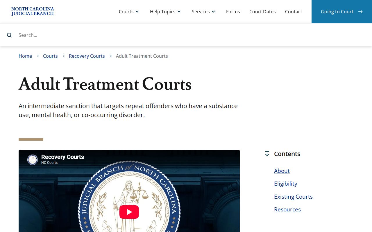 Surry County criminal court docket adult treatment court listing