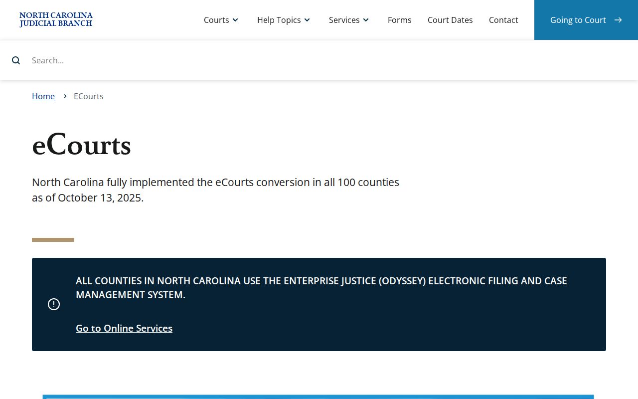 Surry County court docket eCourts Odyssey service information